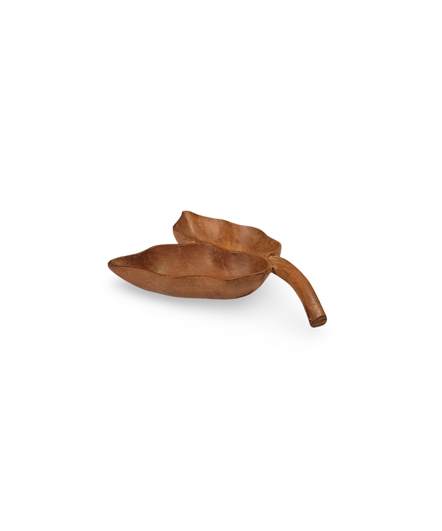 Nature's Serving Bowl